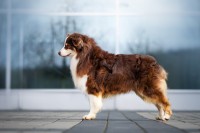 /album/a/dsc08429-jpg/