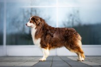 /album/a/dsc08437-jpg/