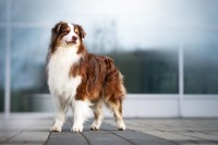 /album/a/dsc08439-jpg/