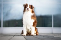 /album/a/dsc08448-jpg/