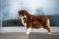 /album/a/dsc08462-jpg/