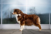 /album/a/dsc08466-jpg/