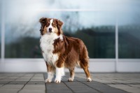 /album/a/dsc08468-jpg/