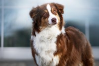 /album/a/dsc08474-jpg/