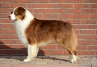 /album/a/mekac-postoj-jpg2/