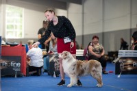 /album/a/x-1683-jpg/