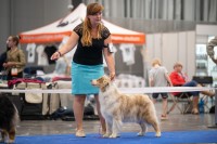 /album/a/x-2072-jpg/