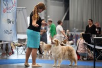 /album/a/x-2073-jpg/