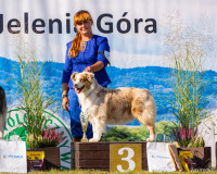 /album/a/img-6508-jpg/