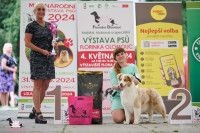 /album/a/img-2693-jpeg/