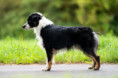 /album/fotogalerie-na-prodej-for-sale/dsc08237-web-jpg/