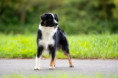 /album/fotogalerie-na-prodej-for-sale/dsc08263-web-jpg/